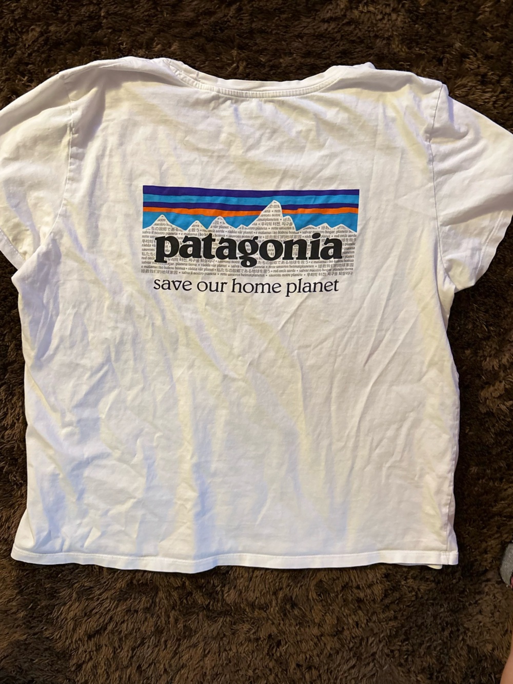 Patagonia Shirt